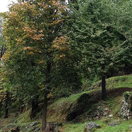 Villa Pura Vida Сен-Мартен-Везюбі Екстер'єр фото