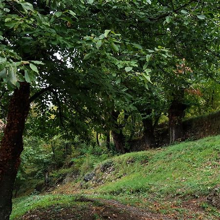 Villa Pura Vida Сен-Мартен-Везюбі Екстер'єр фото