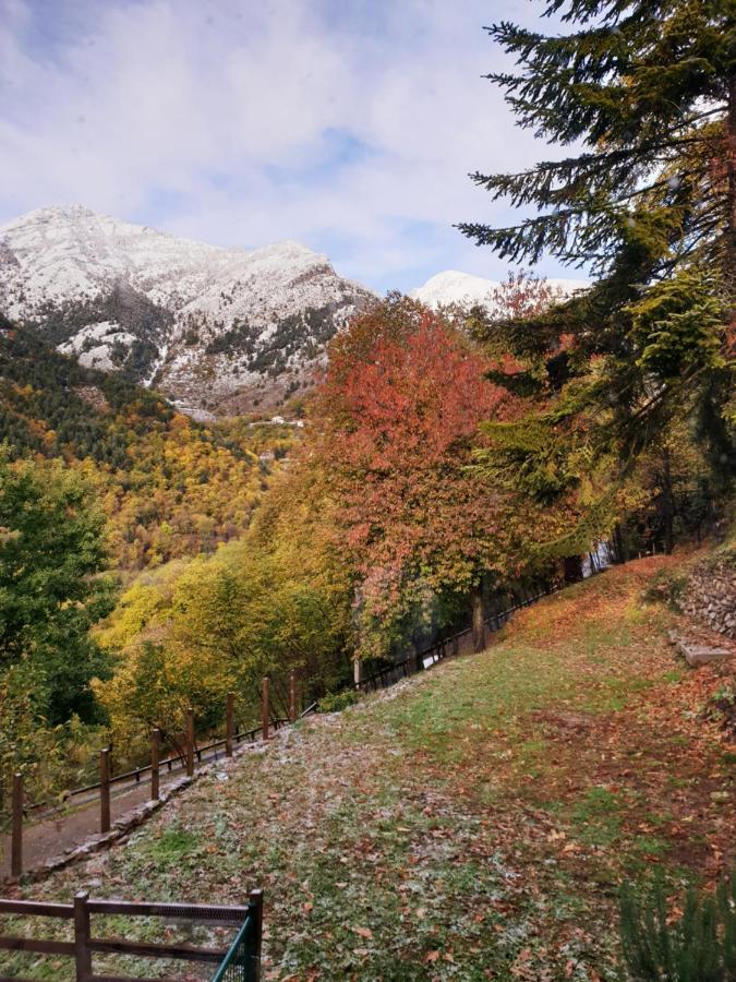 Villa Pura Vida Сен-Мартен-Везюбі Екстер'єр фото